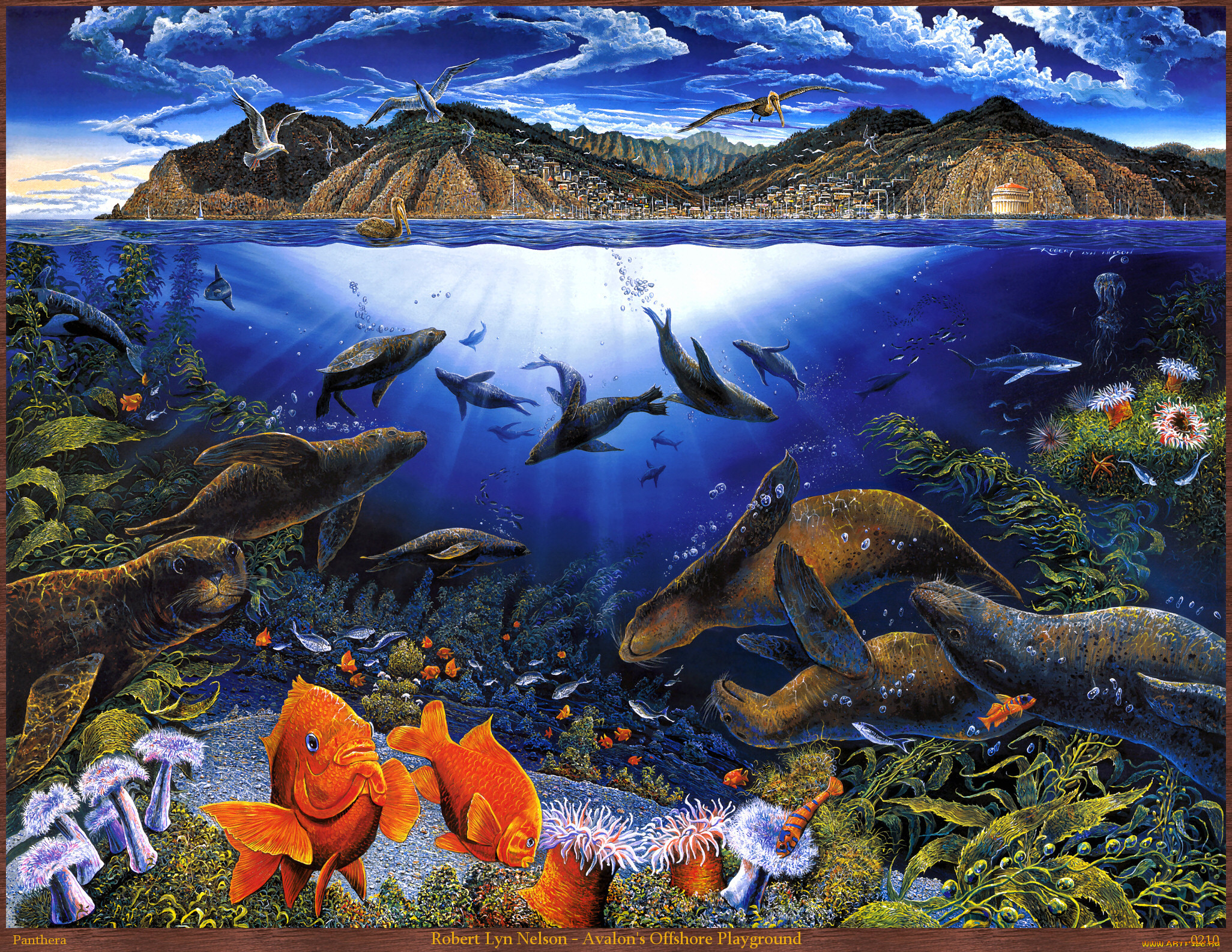 Животные и растение океанов и морей. Обитатели морского дна. Картина Морское дно. Подводные пейзажи. Обитатели рек морей и океанов.